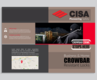 CISA Branding & Brochure Design