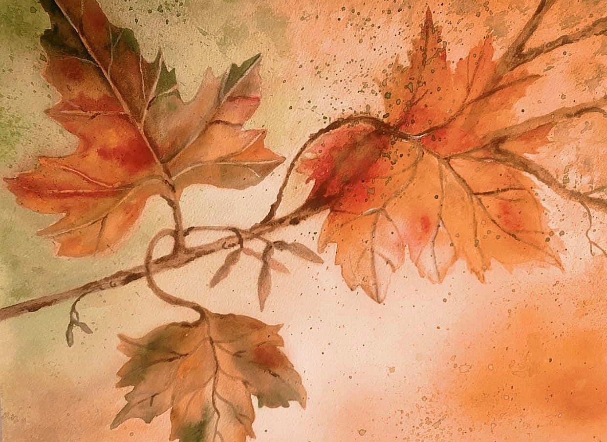 Fall Collection - Lynn Winkel Art
