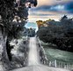 Tasmanian Country Road
