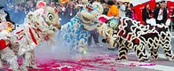 Chinese Parade Dragons