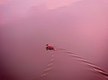 Duck makes a pink sunset trail