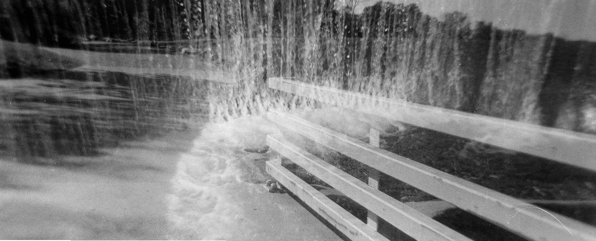 Holga Film Photography