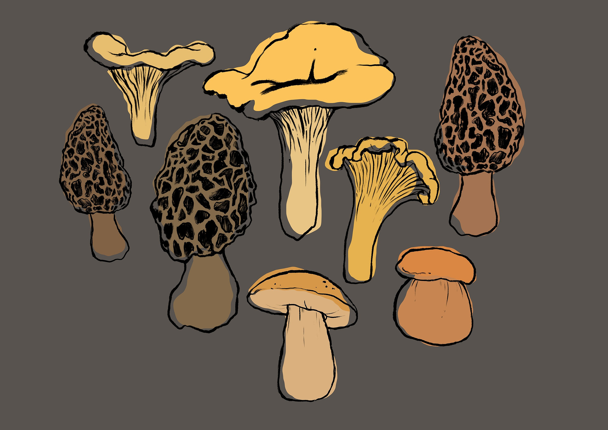 Upcycled Mushrooms