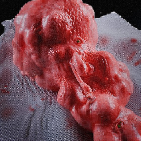 3D