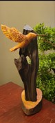 Humming Bird over Driftwood