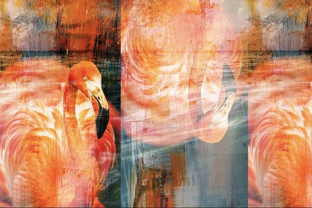 SERIES LIFE ACQUATIC