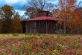 Round Barn Autumnal Blooms