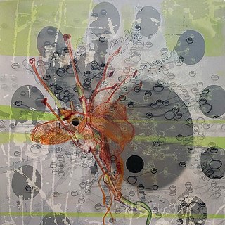 Drawing 24-34