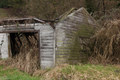bothell-shed-4
