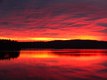 Maine Sunrise