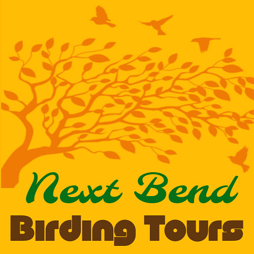 Next Bend Birding Tours & Photography