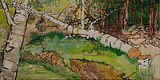 Fallen Populus