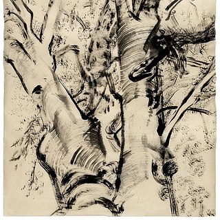 Tree Talk