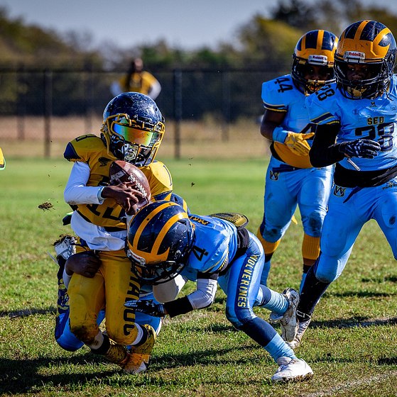 7U SED WOLVERINES NOV 6 VS HAVOC