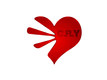 CRY Logo