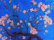 Dogwood Blossoms (after Van Gogh)